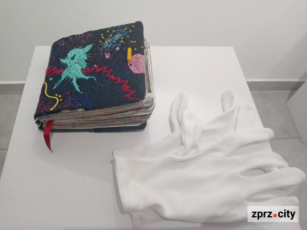 Полежати на експонаті та зробити селфі - у Запоріжжі відкрили виставку найкращих робіт міжнародного фестивалю коллажу (фото)