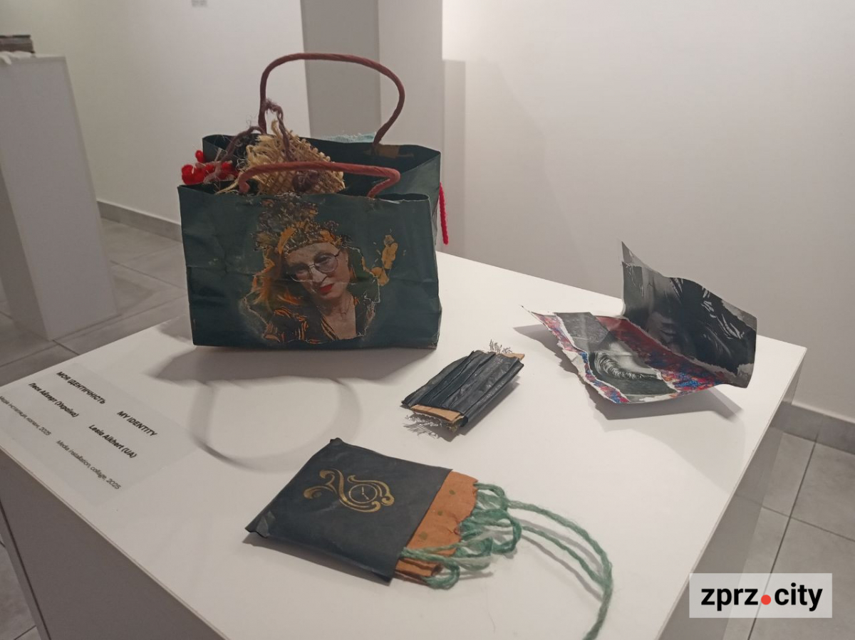 Полежати на експонаті та зробити селфі - у Запоріжжі відкрили виставку найкращих робіт міжнародного фестивалю коллажу (фото)