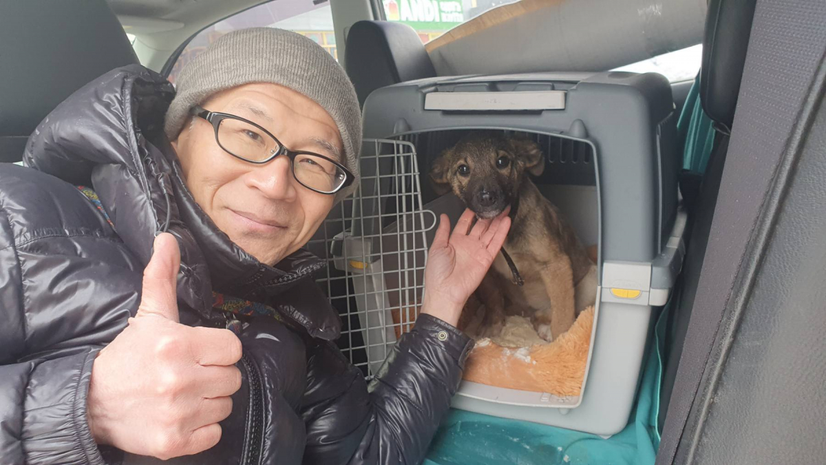 Роксі з прифронтового Запоріжжя вирушає до Японії - волонтер подолав тисячі кілометрів заради цуценяти (фото)