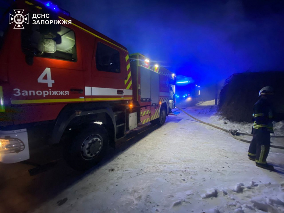 У Запоріжжі спалахнула пожежа — жінка опинилася в небезпеці у житловому будинку