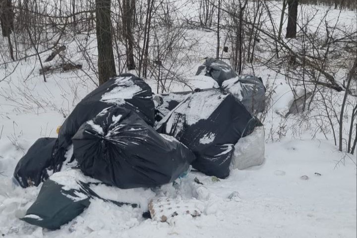 Чорні на білому: між селами у Запорізькій області екологи знайшли мішки зі сміттям