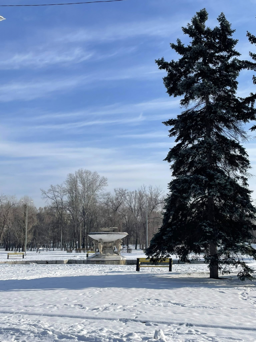 Як виглядає улюблений парк запоріжців взимку - фото