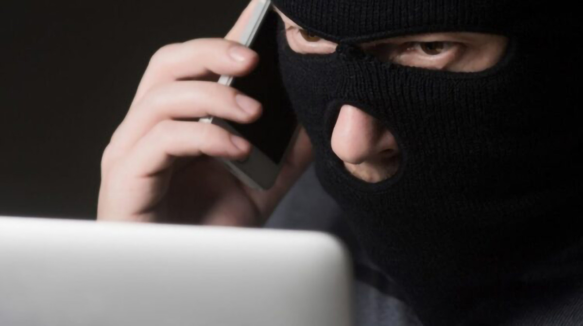 В Запоріжжі шахрайка виманила 27 тисяч гривень за фейкове кошеня, фото: ілюстративне