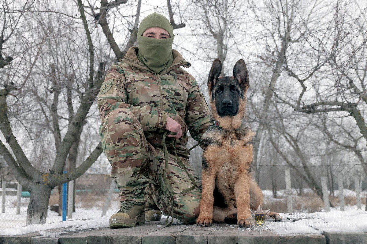 Маленькі герої великої служби: у Запоріжжі цуценята проходять перші «поліцейські випробування» (фото, відео)