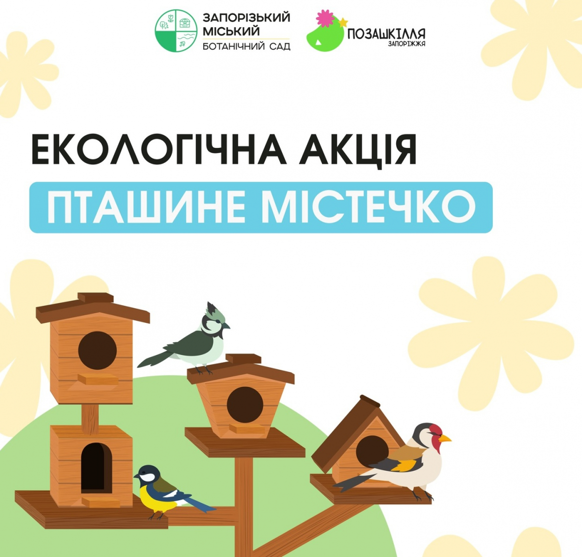 Місто, дружнє до птахів: у Запоріжжі стартує щорічна екологічна акція