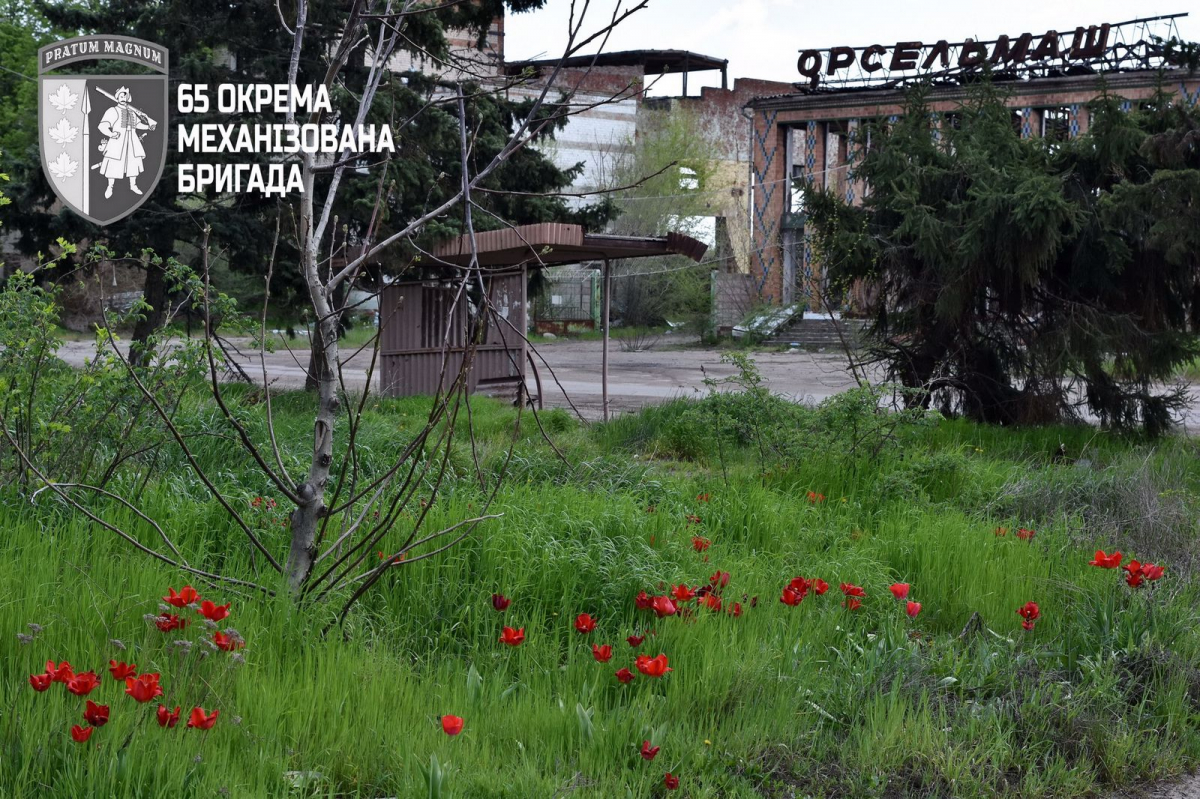 Місто-привід, в якому досі живуть люди - на розбомблений пустельний Оріхів моторошно дивитись (відео)