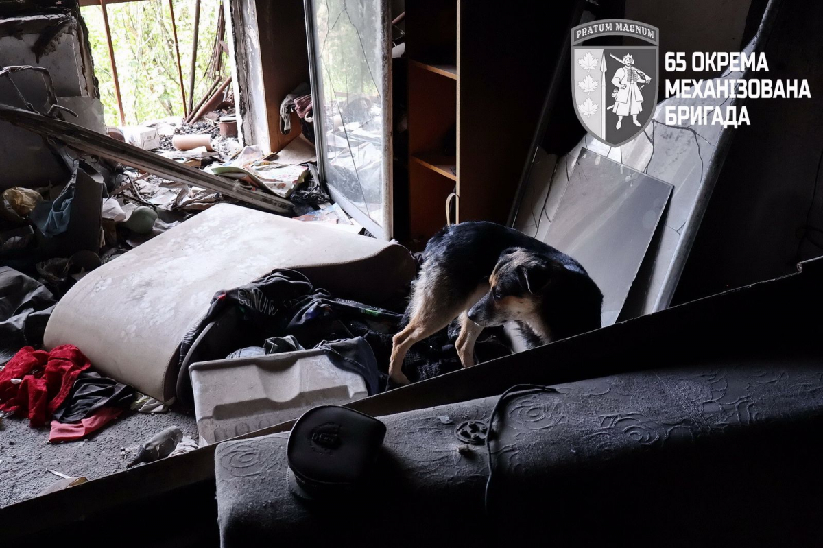 Місто-привід, в якому досі живуть люди - на розбомблений пустельний Оріхів моторошно дивитись (відео)