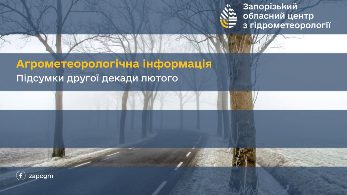 Мокрий сніг і промерзлий ґрунт: як незвичні погодні умови вплинули на озимі в Запорізькому районі