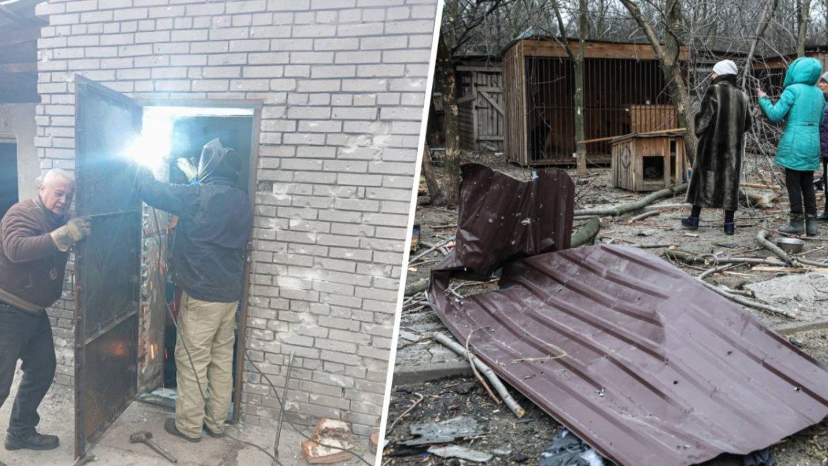 Обіцянку виконали: в Запоріжжі енергетики допомогли відбудувати притулок для тварин після атаки дрона (фото)