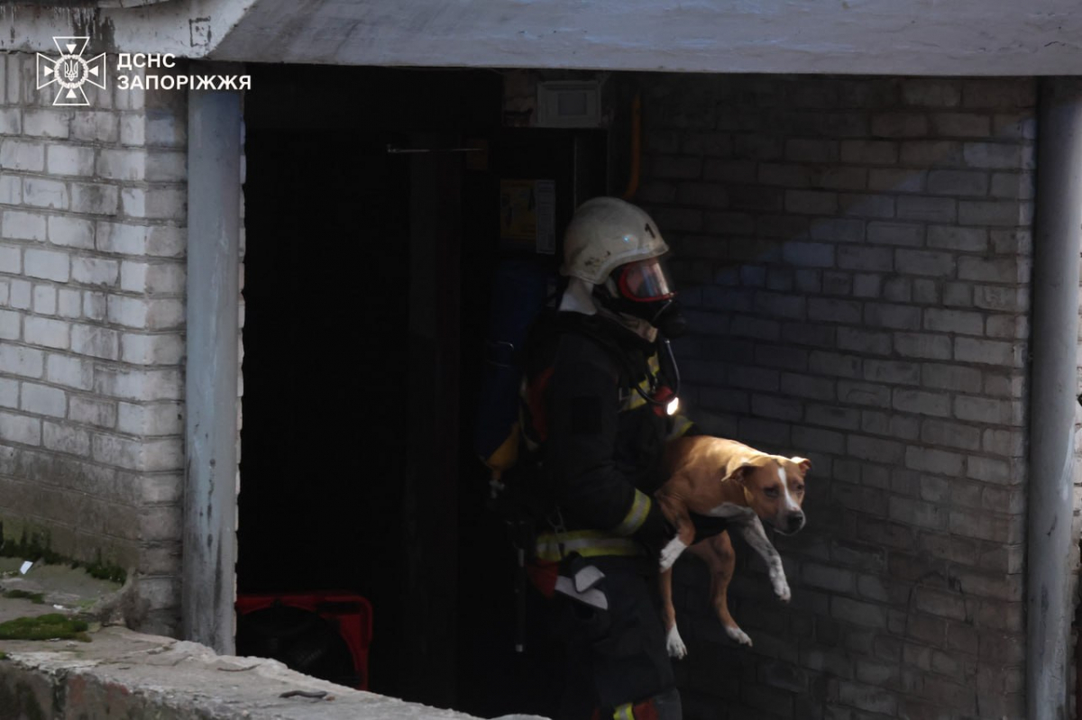 Рятували разом із тваринами: у Запоріжжі надзвичайники ліквідували пожежу в багатоповерхівці (фото)