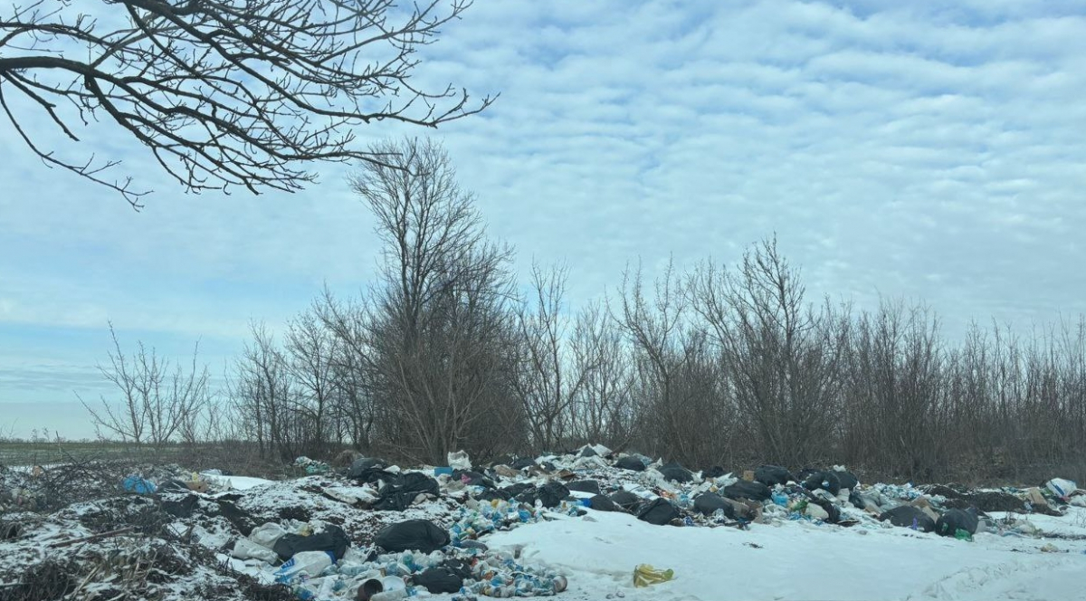 Сміттєвий пагорб на узбіччі: у Запорізькій області екологи зафіксували стихійне звалище