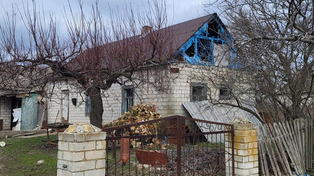 "Собака-усмішка": під час евакуації з Різдвянки волонтери врятували пса і знайшли йому родину (відео)