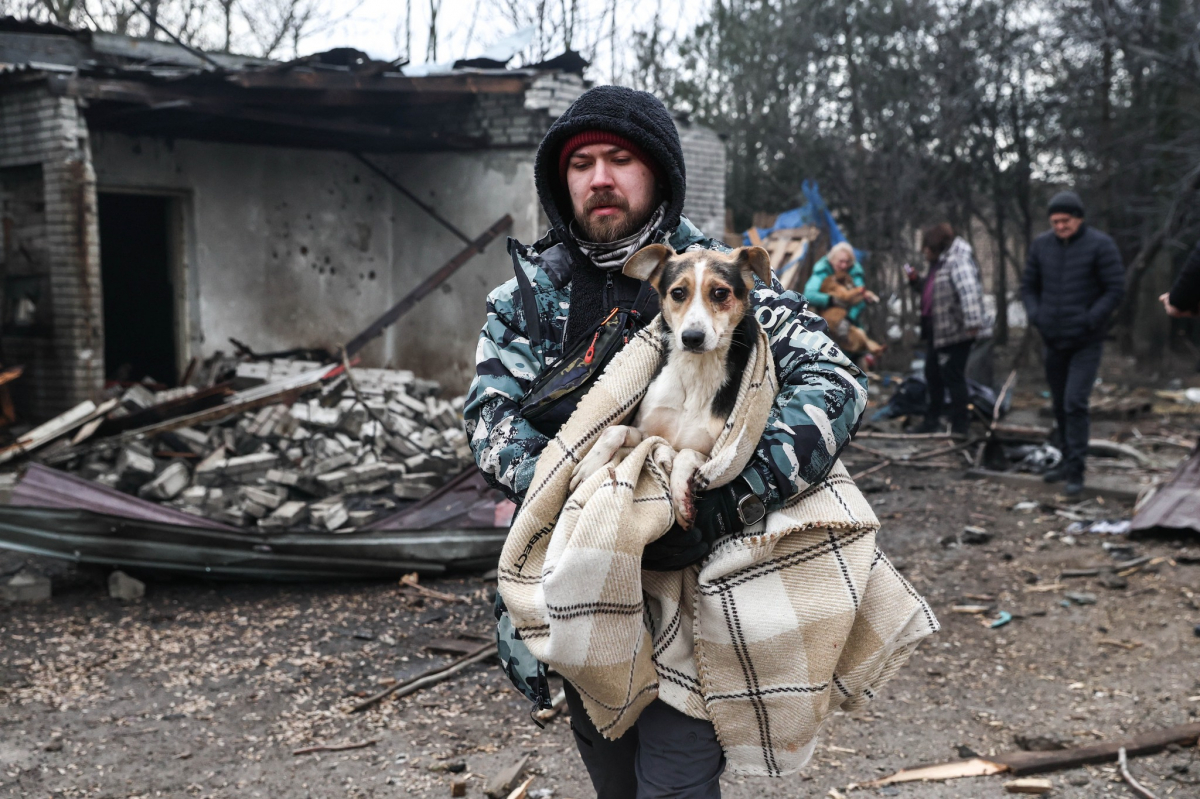 "Тварини не заслуговують бути вбитим" - ситуація у запорізькому притулку для тварин, зруйнованому ворожим дроном