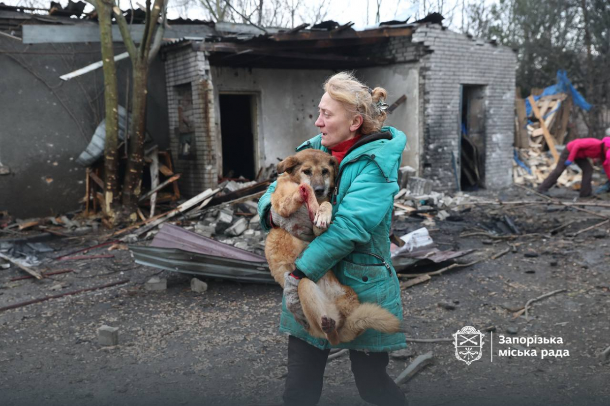 Внаслідок атаки БпЛа був зруйнований притулок «Дай лапу, друже» - волонтери просять про допомогу (фото)