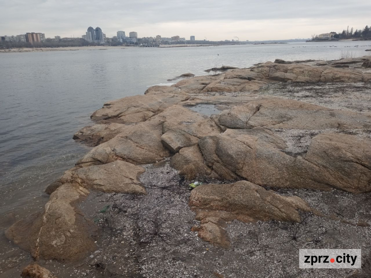 Води стало більше - як виглядає узбережжя Хортиці наприкінці зими (фото)
