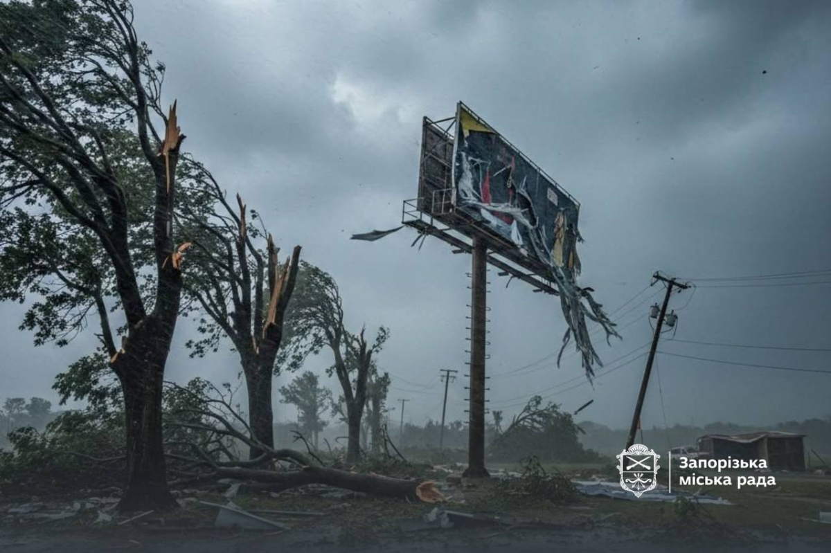 Запоріжжя атакує стихія: вітер валить дерева та зриває рекламу (фото, відео)