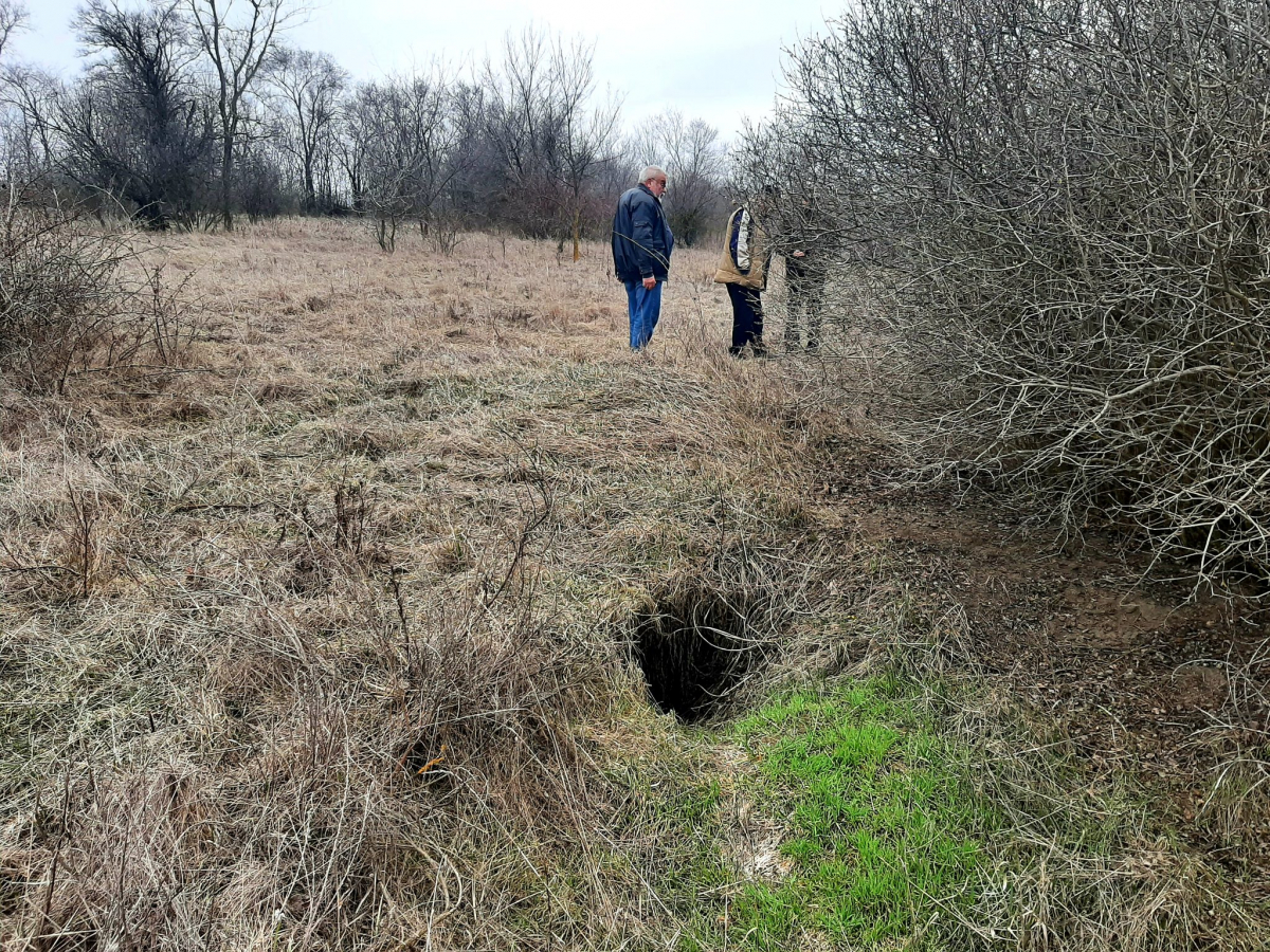 Лежала в посадці біля кургану: у Запорізькому районі знайшли стелу віком понад шість тисяч років (фото)