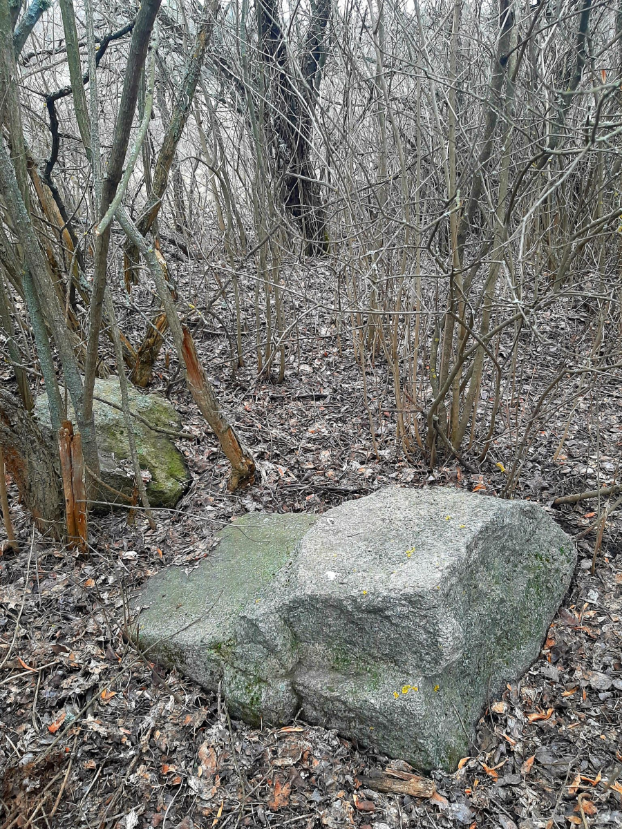 Лежала в посадці біля кургану: у Запорізькому районі знайшли стелу віком понад шість тисяч років (фото)