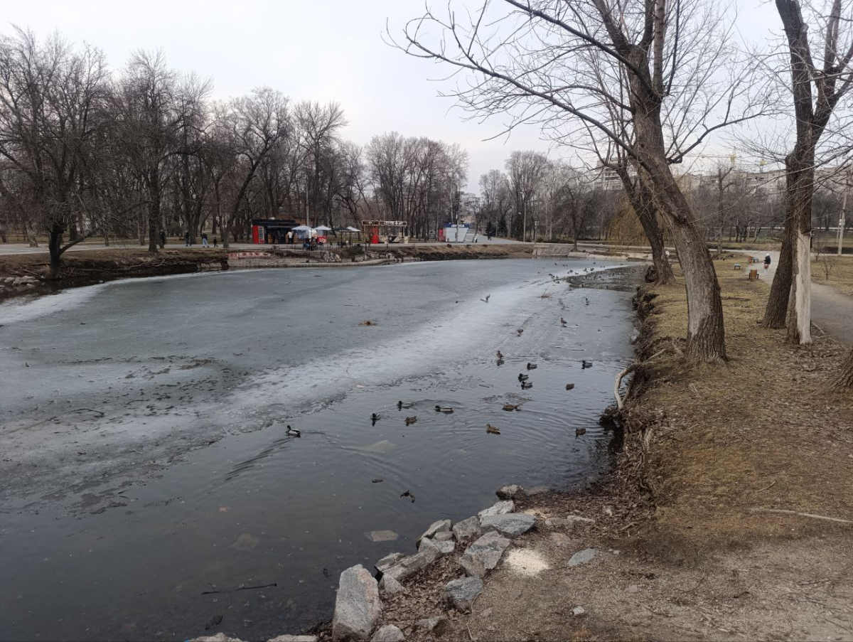 "Дубовий гай" у Запоріжжі в березні 2026. Фото: Антоніна Фролова
