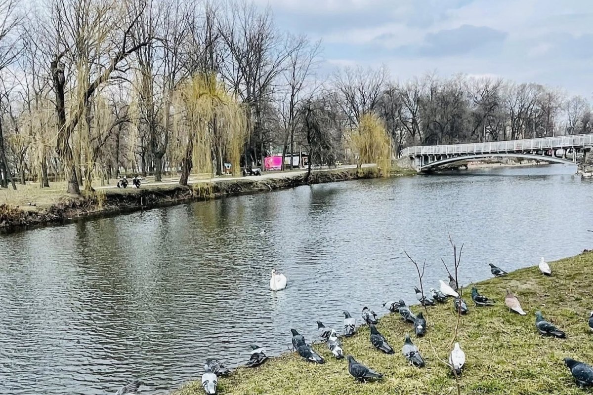 По-весняному мінлива: якою буде погода в Запоріжжі 23–25 березня