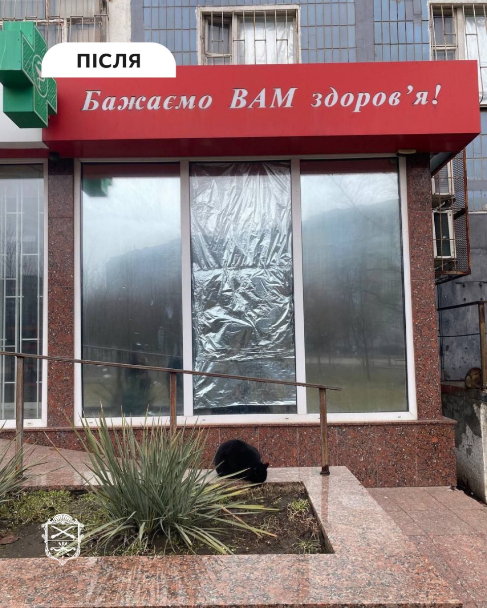 Протокол за сміття: у Запоріжжі інспектори та комунальники провели рейди по районах (фото)