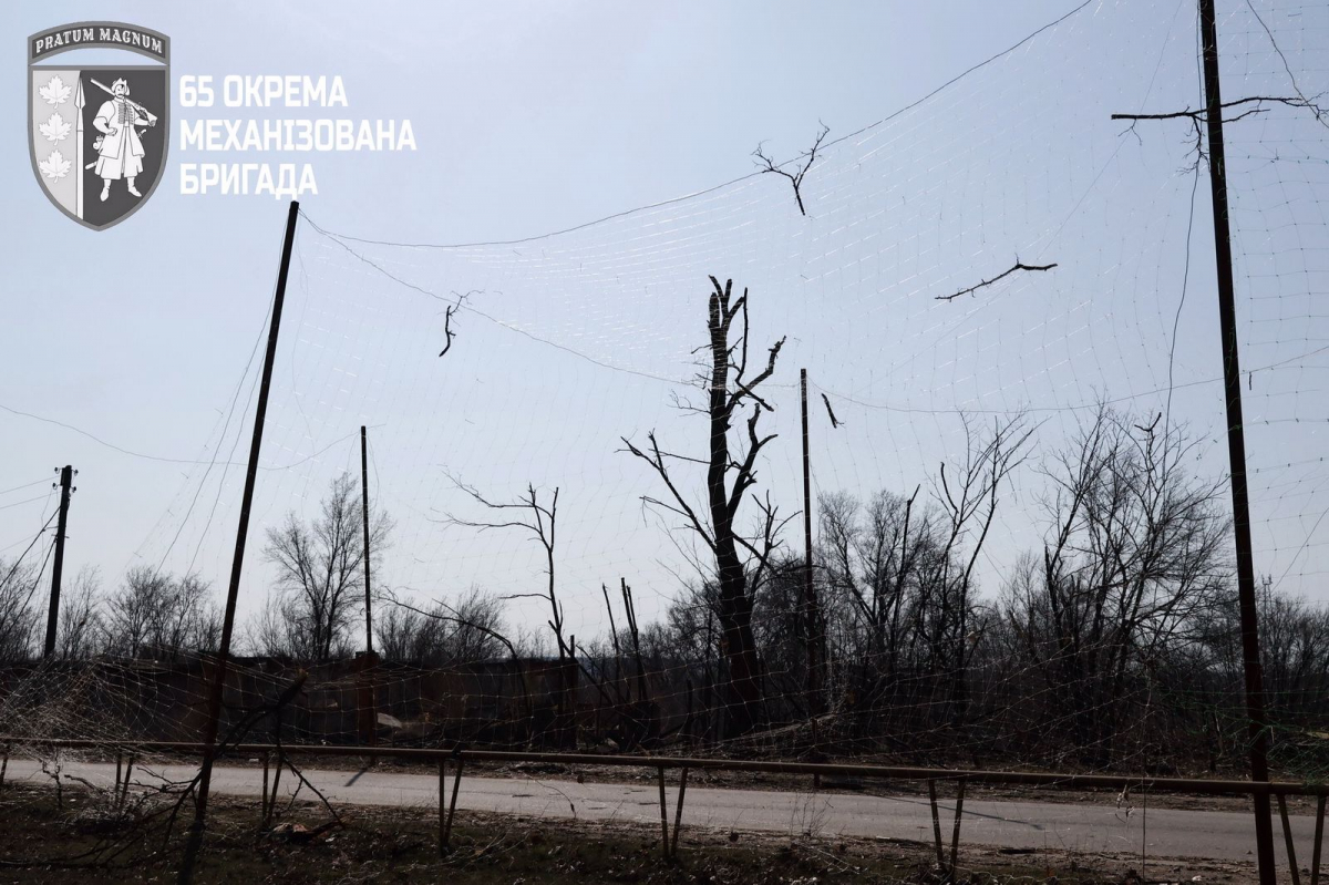 Собаки все ще чекають повернення господарів: як виглядає село Запорізького району у кіл-зоні (фото)