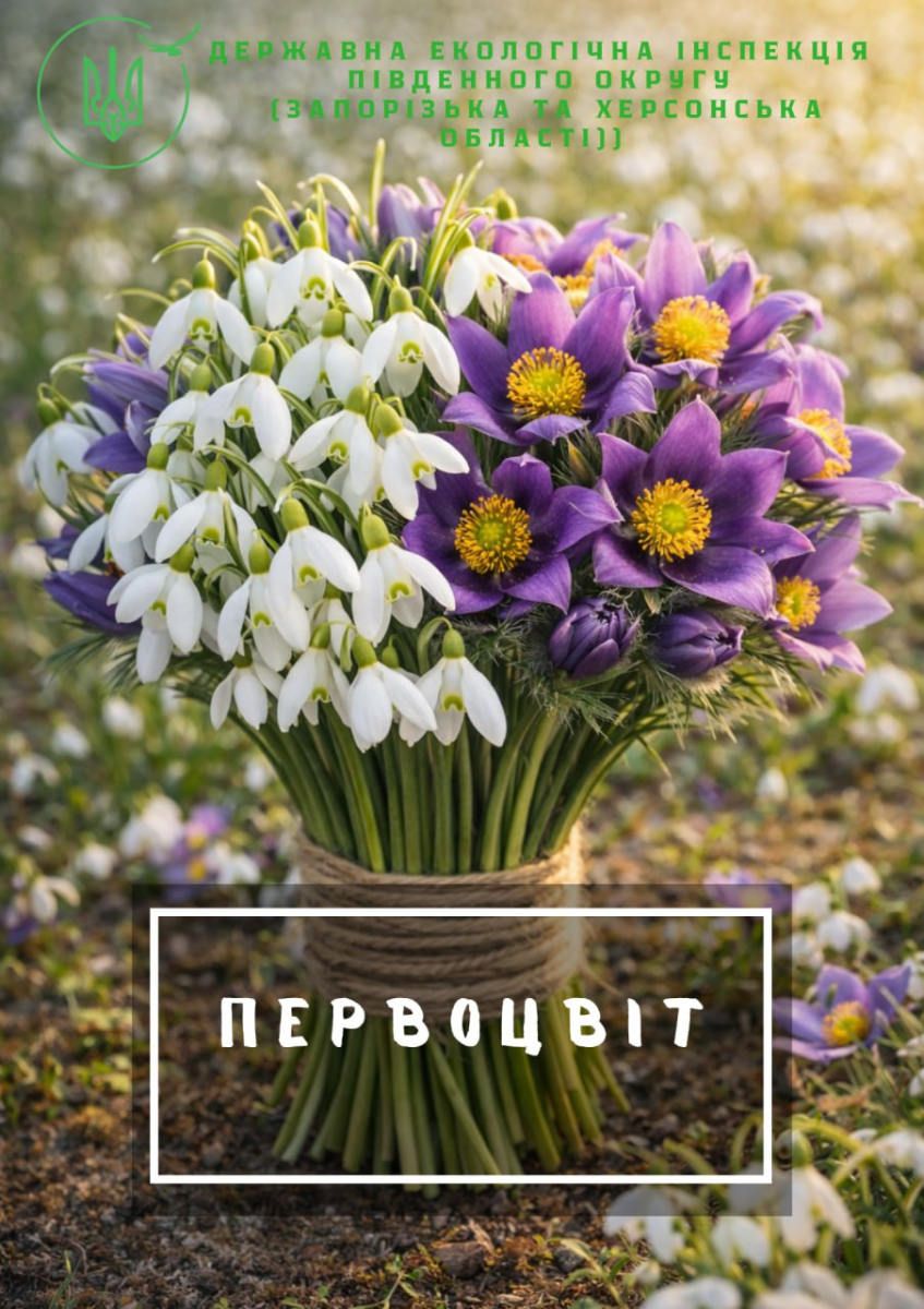 Екологи нагадали запоріжцям, чому не можна зривати первоцвіти, фото: Держекоінспекція Південного округу 