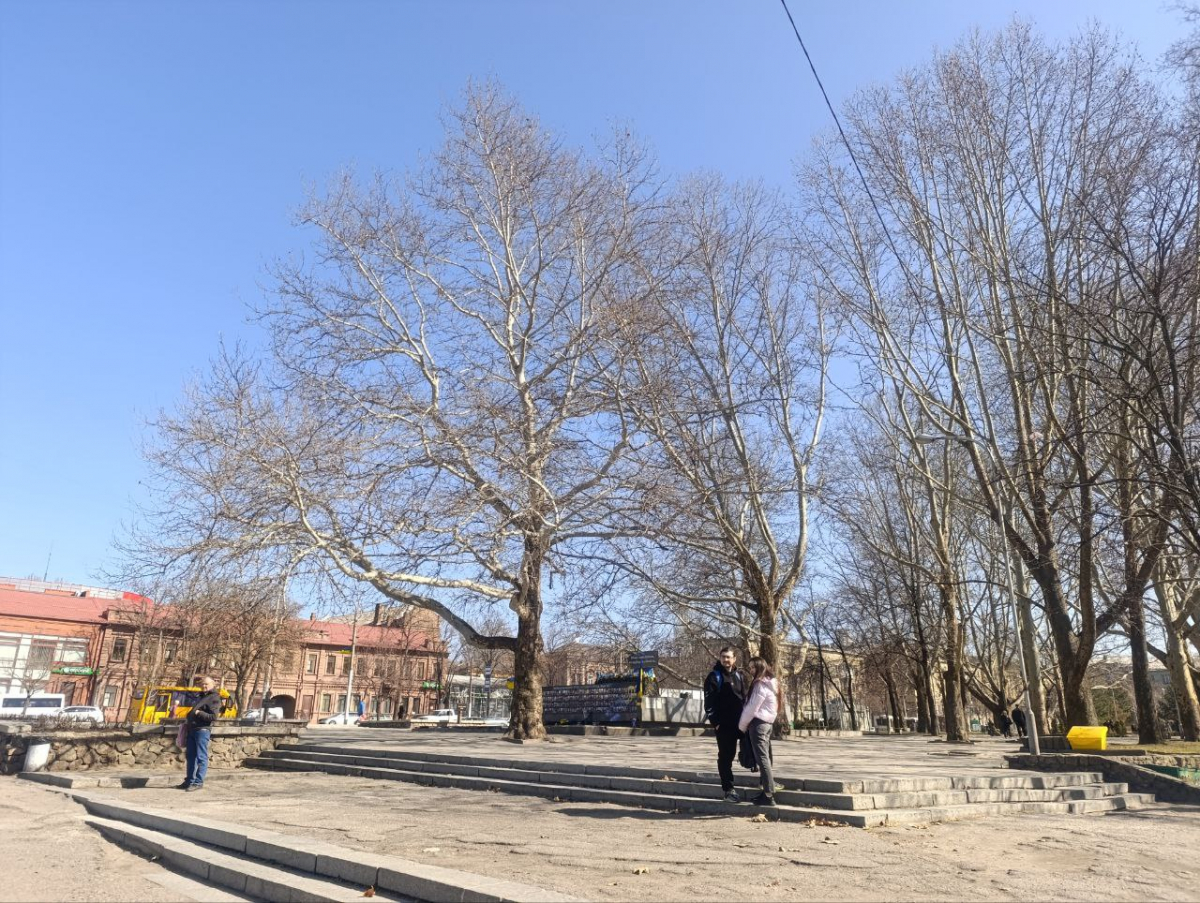 Площа Свободи в Запоріжжі. Фото: Антоніна Фролова