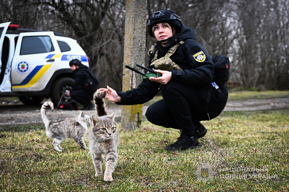 «Виїжджаємо, бо дуже сильно почали бомбити»: на Запоріжжі людей евакуювали під прицілом ворожих дронів (фото, відео)