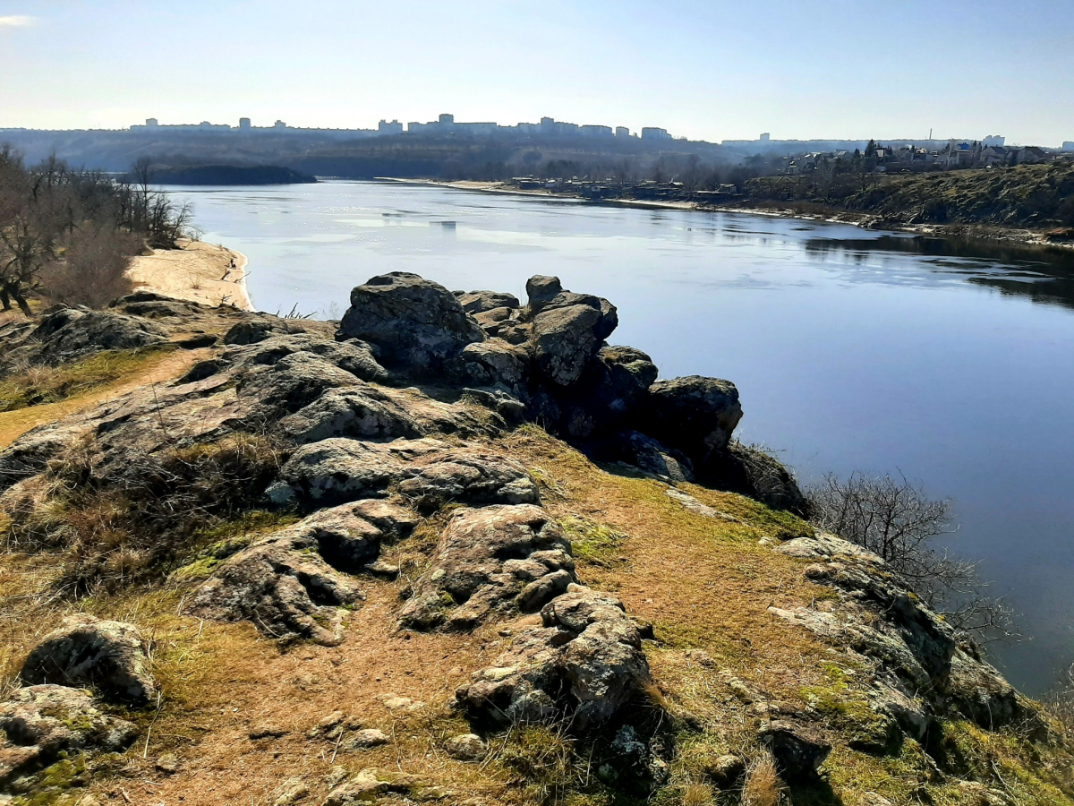 Життя перемагає: червонокнижні птахи не покинули Хортицю та звили нове гніздо (фото)