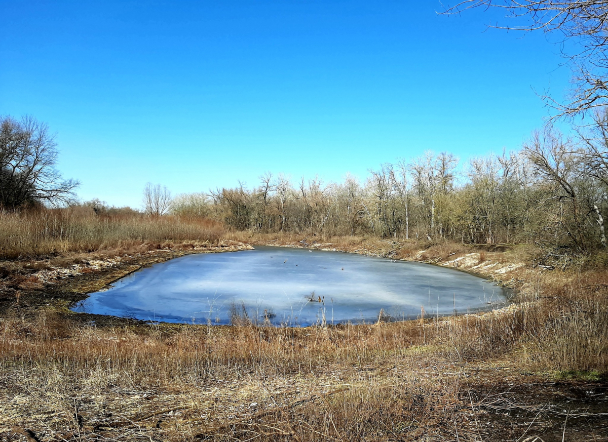 Озеро у плавнях острова Хортиця. Фото Валерія Кємєнова