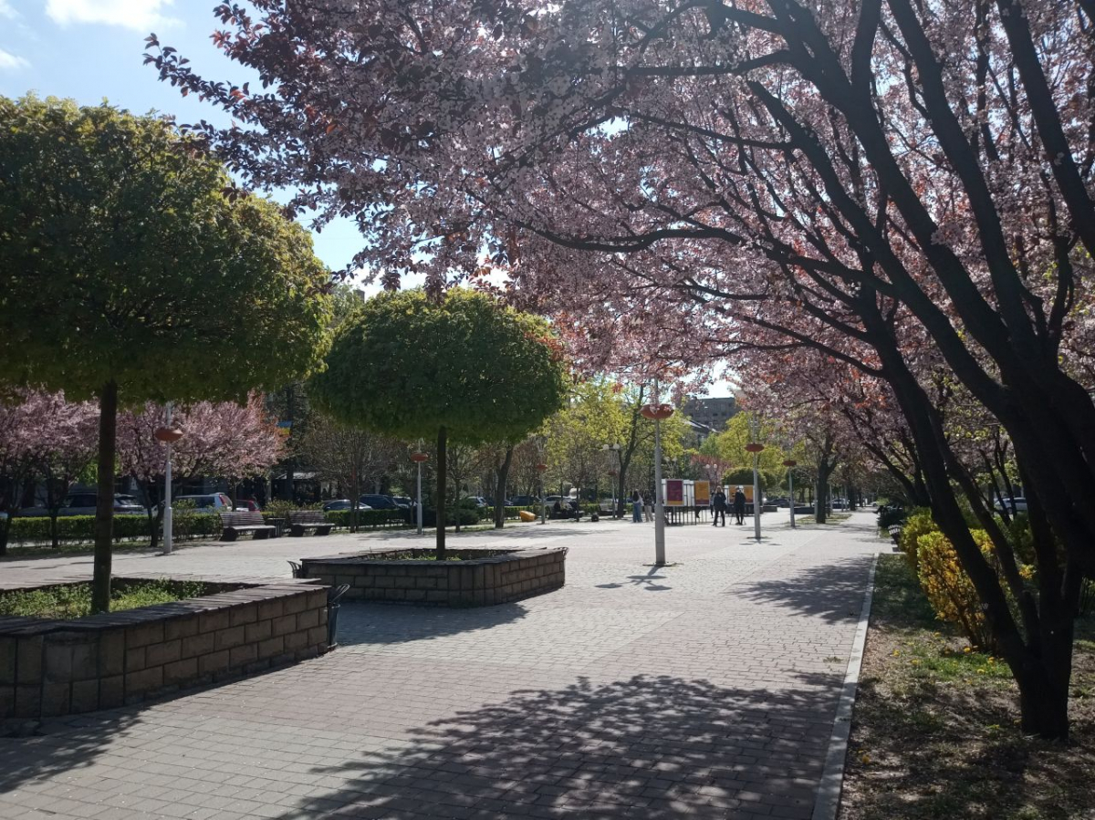 Бульвар Марії Примаченко у Запоріжжі, фото Світлани Олійник