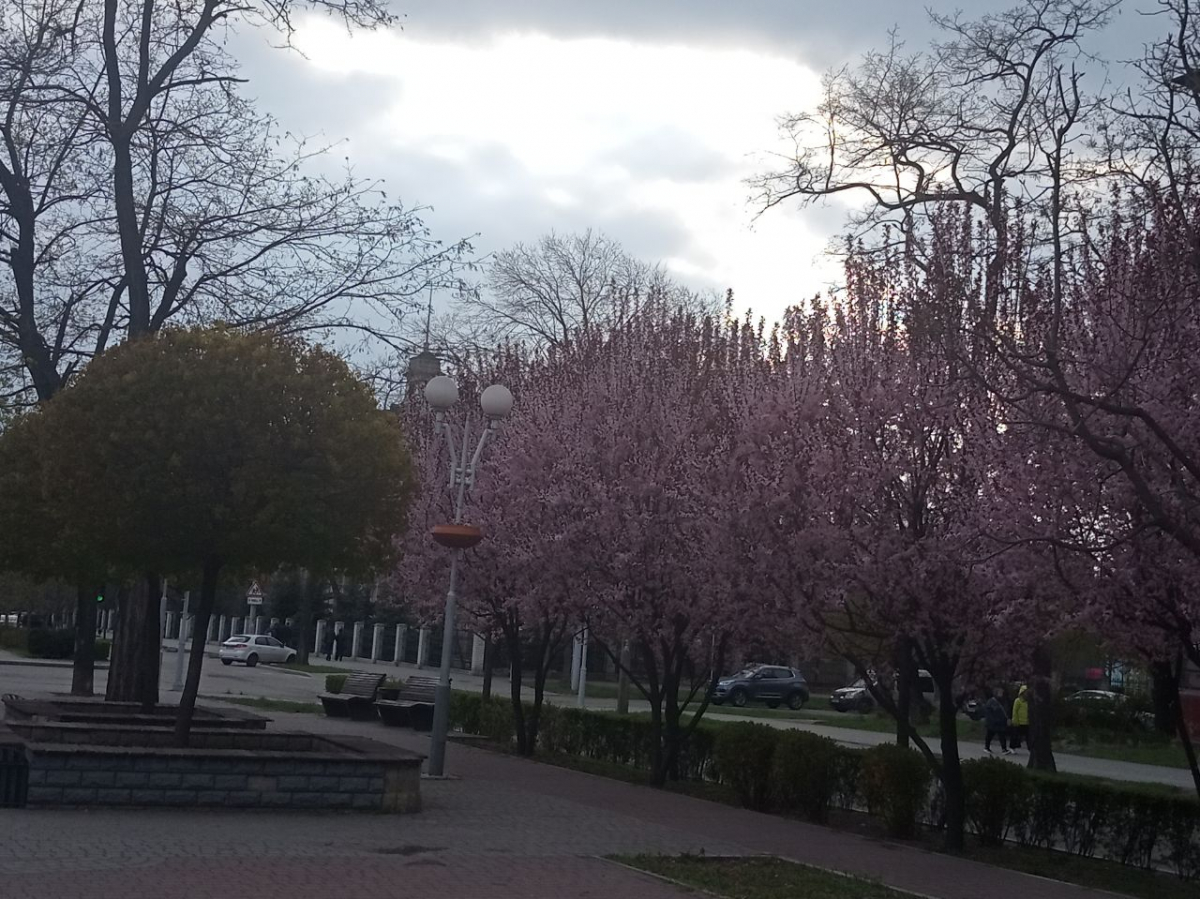 Весна у Запоріжжі, фото Світлани Олійник