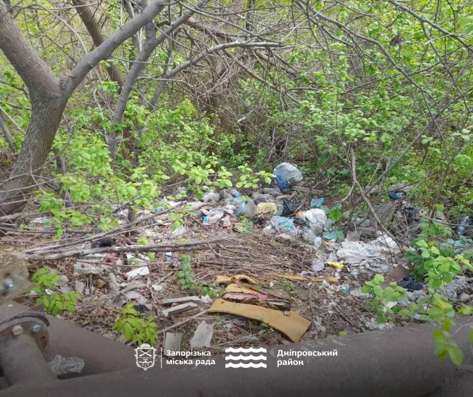 Мальовниче місце зіпсувало звалище: у Запоріжжі містяни виявили купу відходів просто неба (фото)