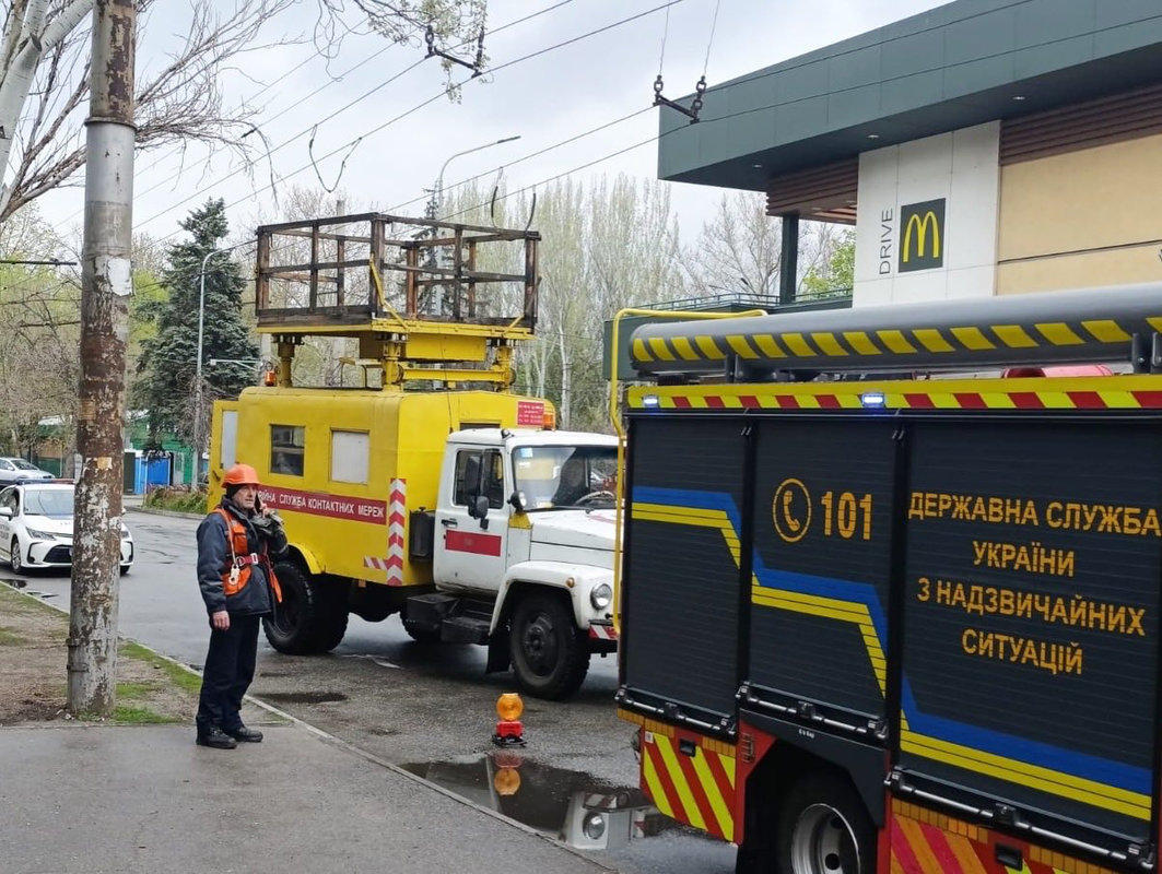 Нависла небезпека: у Запоріжжі аварійна гілка стривожила мешканців (фото)