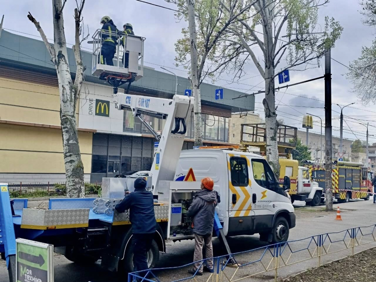 Нависла небезпека: у Запоріжжі аварійна гілка стривожила мешканців (фото)