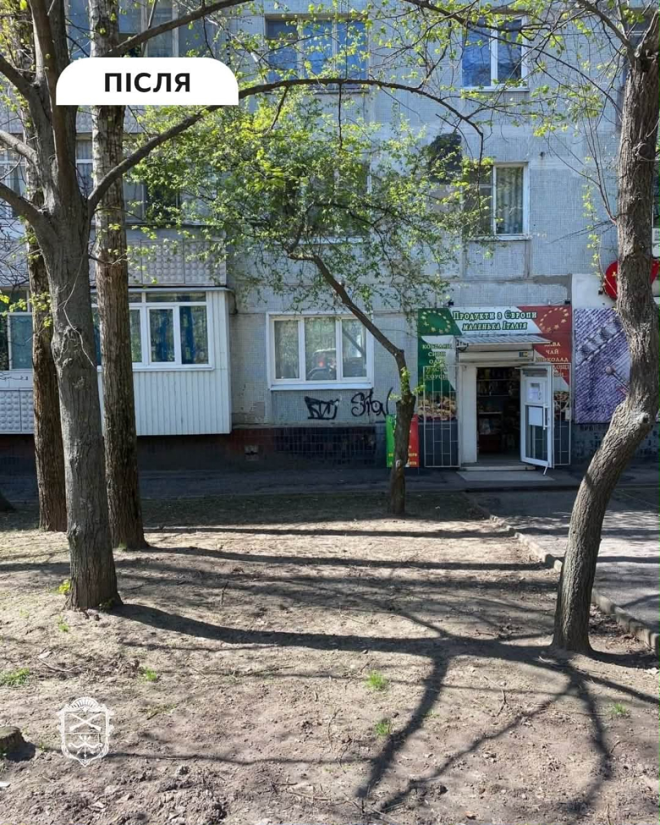 Небажані «прояви творчості» та незаконна реклама: у Запоріжжі очистили розмальовані стіни та прибрали вивіски (фото)