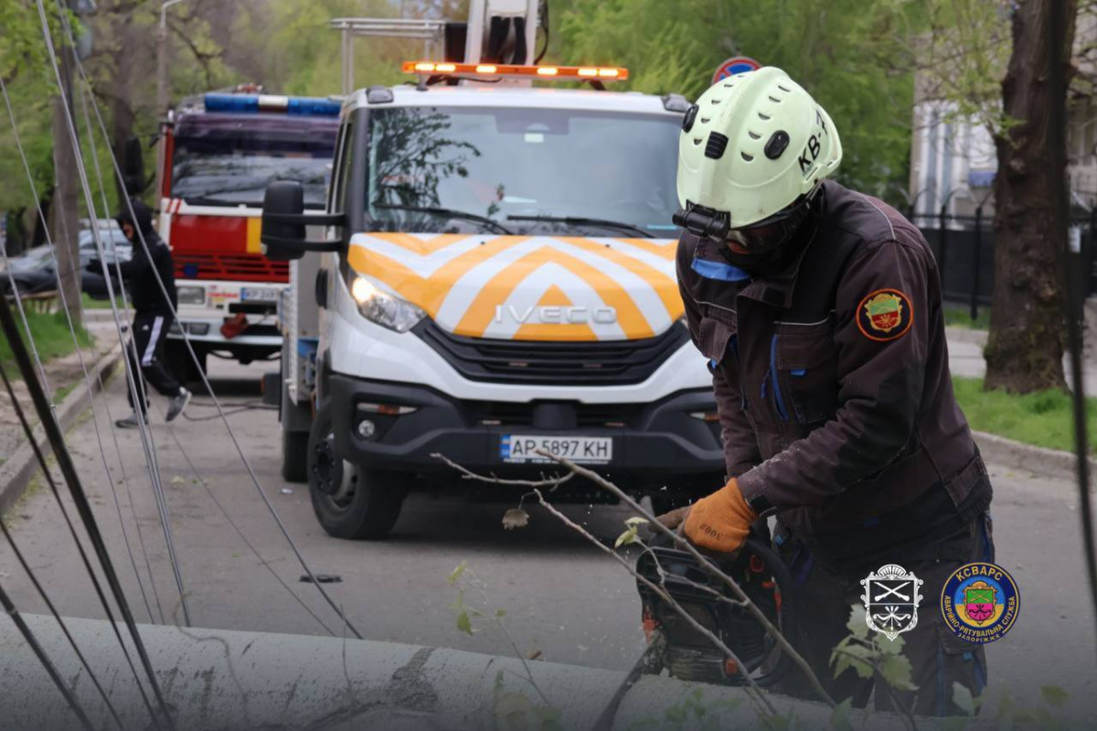 Негода у Запоріжжі повалила дерева: рух дорогами ускладнений (фото, відео)
