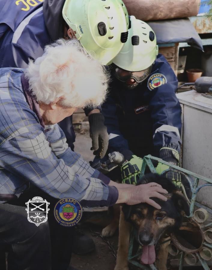 Паркан перетворився на капкан: у Запоріжжі господар викликав рятувальників для порятунку свого собаки (фото)