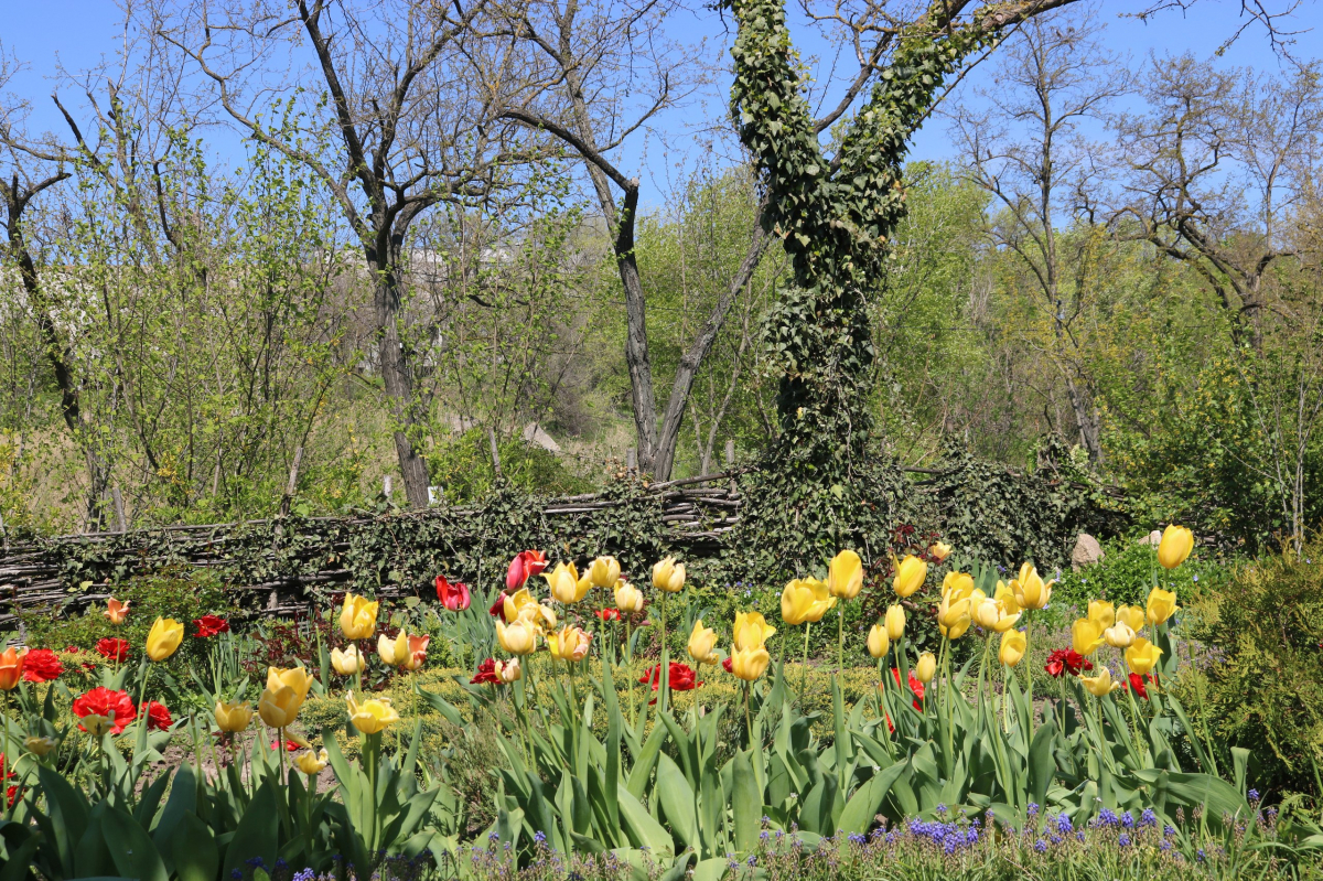 Парк Перемоги в Запоріжжі в квітні 2026 року. Фото: Анна Ковальова