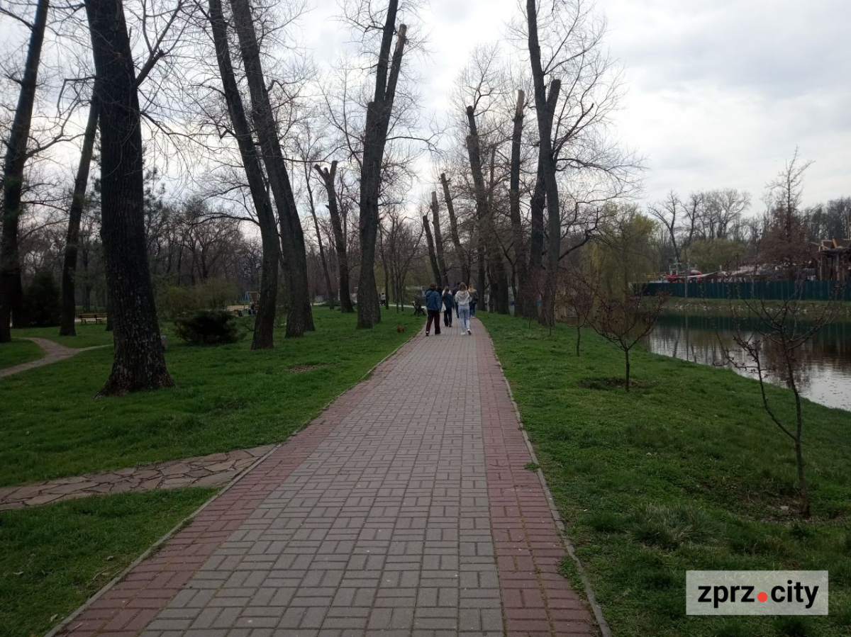 Сезон магнолій і лебеді: у вихідні в запорізькому парку був аншлаг - фото