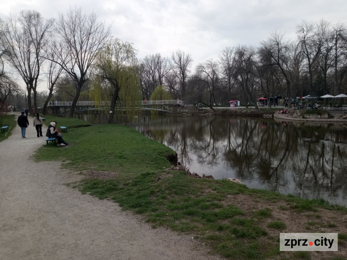 Сезон магнолій і лебеді: у вихідні в запорізькому парку був аншлаг - фото