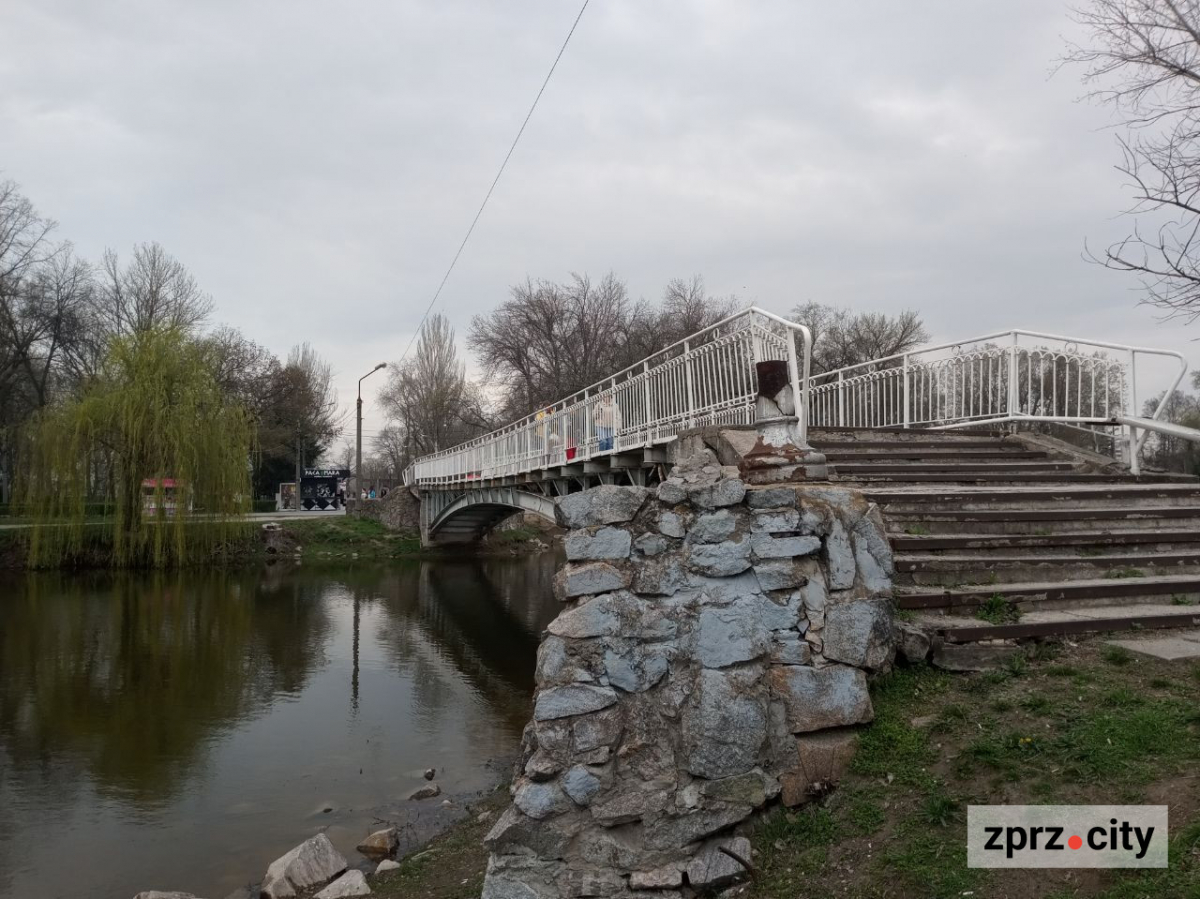 Сезон магнолій і лебеді: у вихідні в запорізькому парку був аншлаг - фото