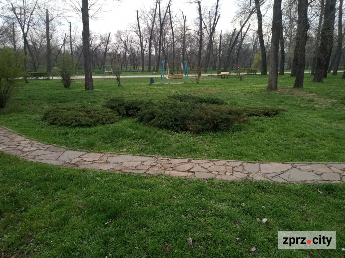 Сезон магнолій і лебеді: у вихідні в запорізькому парку був аншлаг - фото