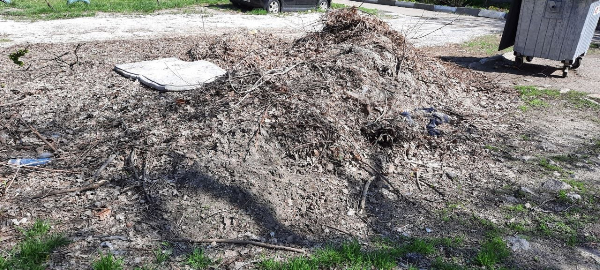 Сміття біля будинку: у Запоріжжі екологи знайшли несанкціоноване скупчення відходів (фото)