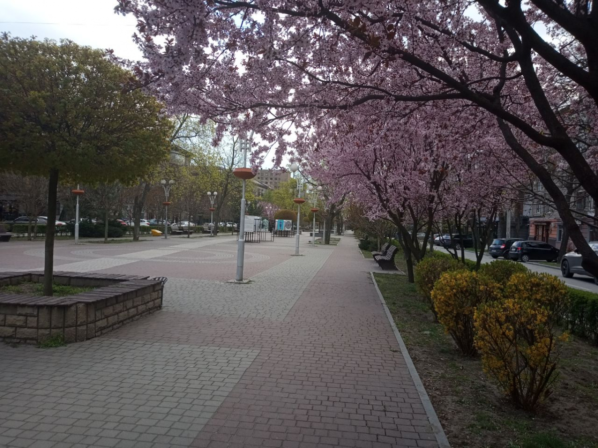 Бульвар Марії Примаченко у Запоріжжі, фото Світлани Олійник