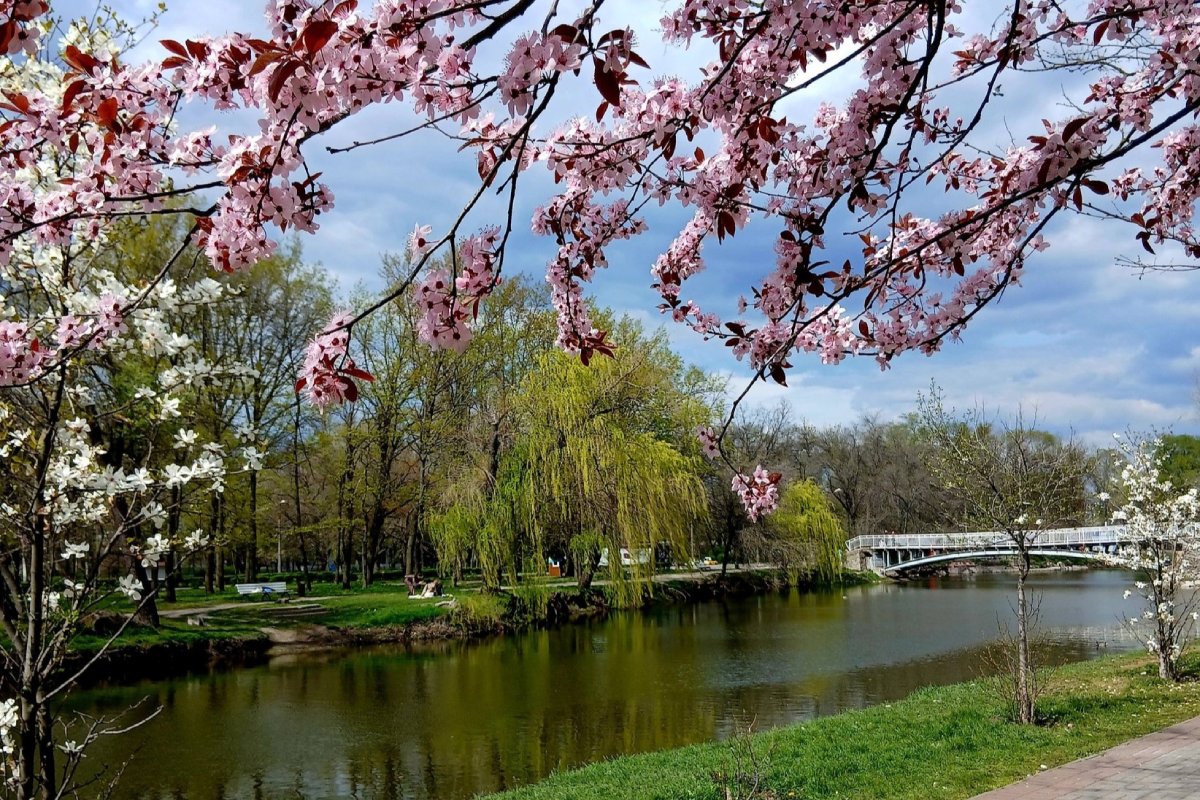 Прогноз погоди у Запоріжжі на 16-17 квітня