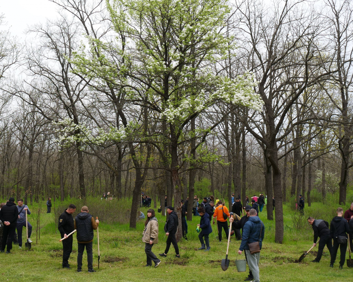 У День довкілля в парку на Хортиці посадили понад сто молодих дубків - фото