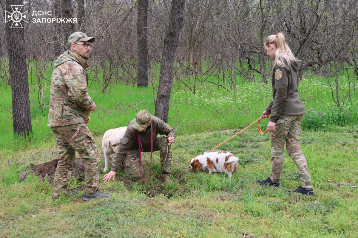 У День довкілля в парку на Хортиці посадили понад сто молодих дубків - фото