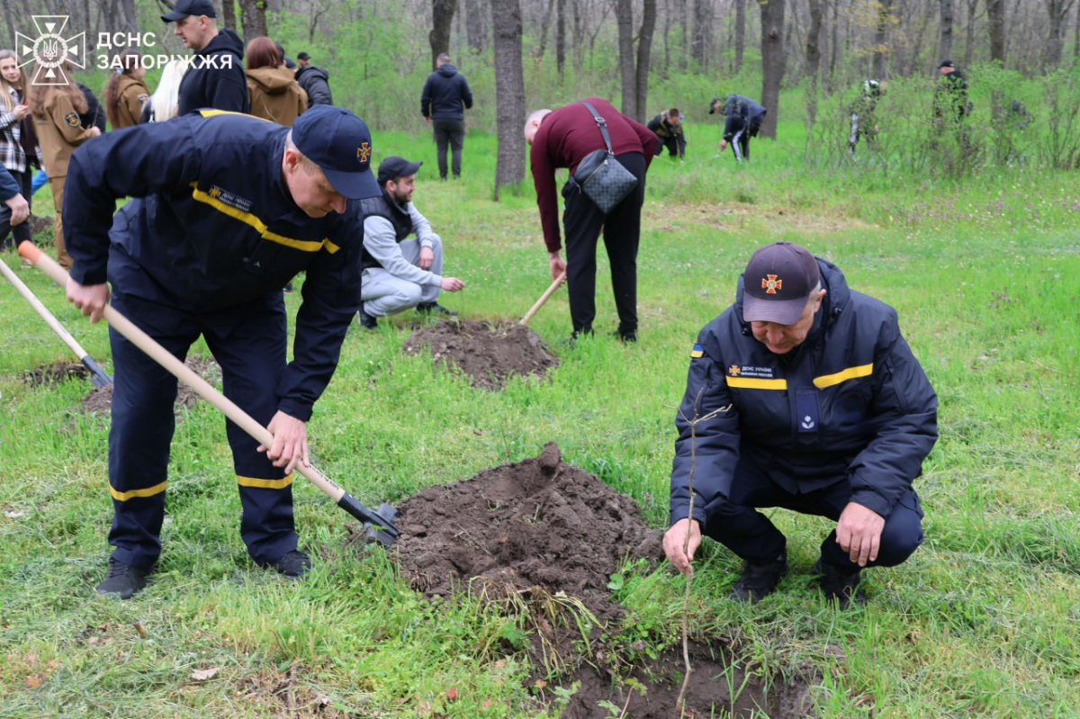 У День довкілля в парку на Хортиці посадили понад сто молодих дубків - фото